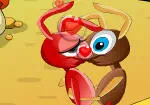 親吻的螞蟻