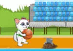 Basket allo Stadio