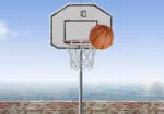 Mijn Mini Basketbal