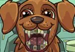 Loco dentista de mascotas