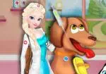 Szpital dla zwierząt Elsa
