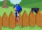 Sonic w ogrodzie