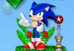 Sonic verzamelaar van edelstenen