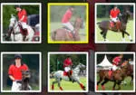 Polo de Harry y William juego de caballos