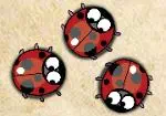 Nerveuse Coccinelle 3